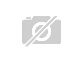Erntehelfer für Himbeerplantage